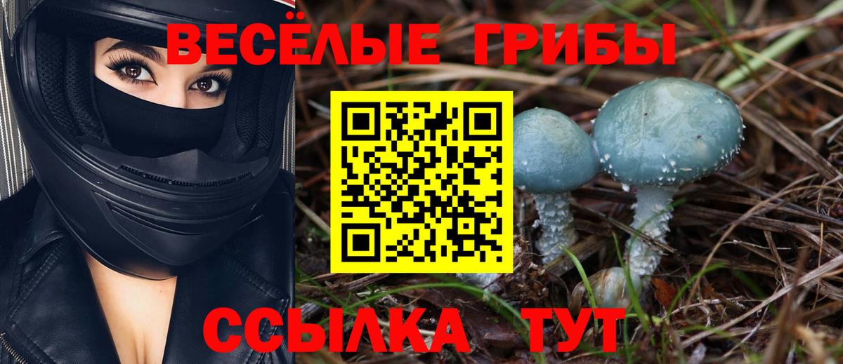 Галлюциногенные грибы Magic Shrooms  Вход с VPN  Усть-Кут  Галлюциногенные грибы GOLDEN TEACHER 
